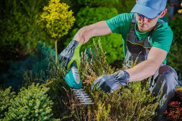 landscaping services Wayne Lakes
